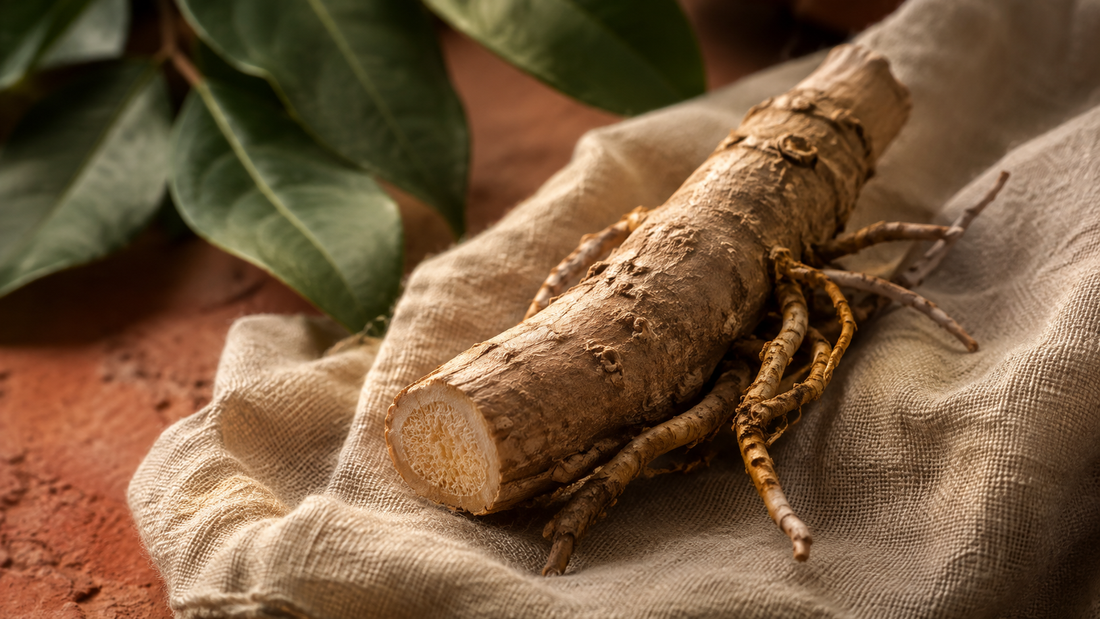 Tongkat Ali Benefits for Men: What the Science Actually Says